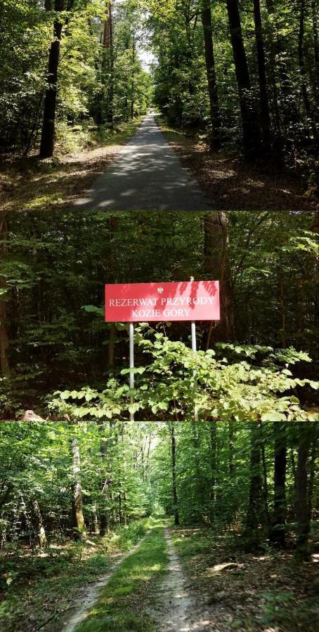 Agroturystyka U Izabelli Niemce Luaran gambar